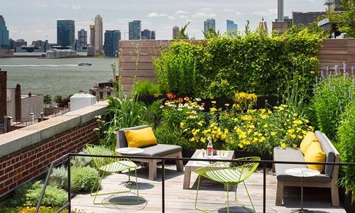 سفارش پشت بام سبز به استپ ناین